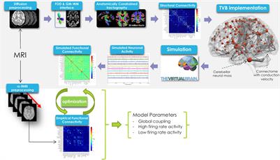 The Importance of Cerebellar Connectivity on Simulated Brain Dynamics